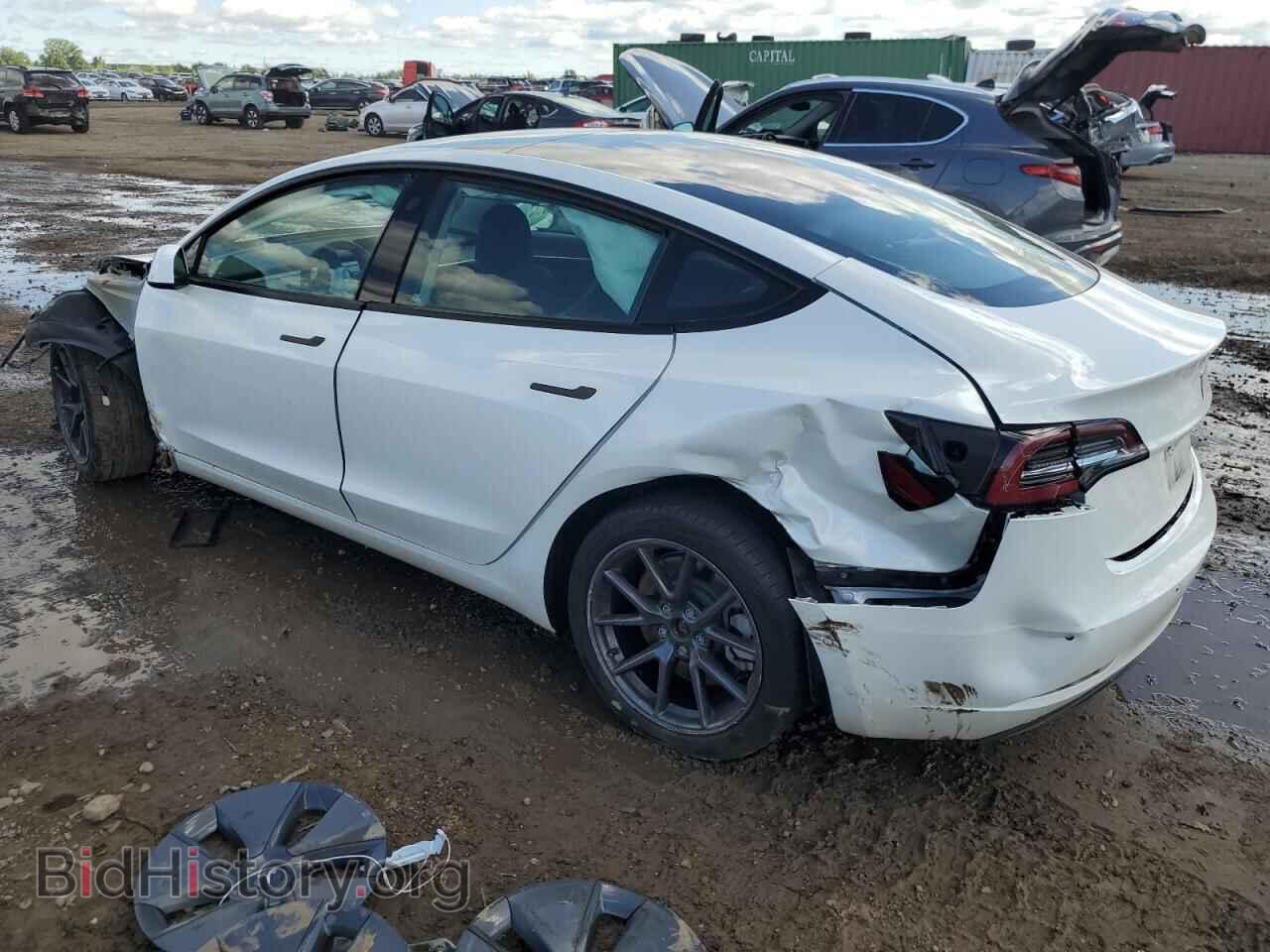 2021 TESLA MODEL 3 - VIN: 5YJ3E1EA5MF045951 - Фото 2