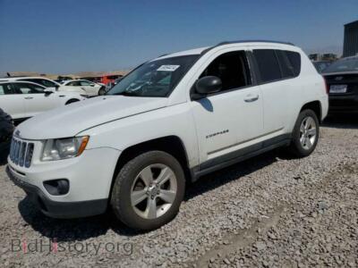 2011 Jeep COMPASS Sport, белый — VIN 1J4NF1FB8BD280128, Copart