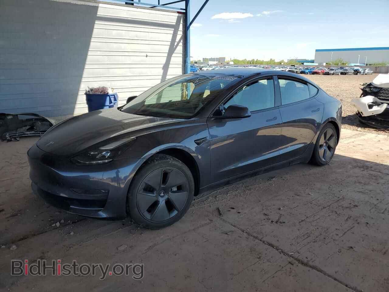 Photo 5YJ3E1EA3PF449531 - TESLA MODEL 3 2023