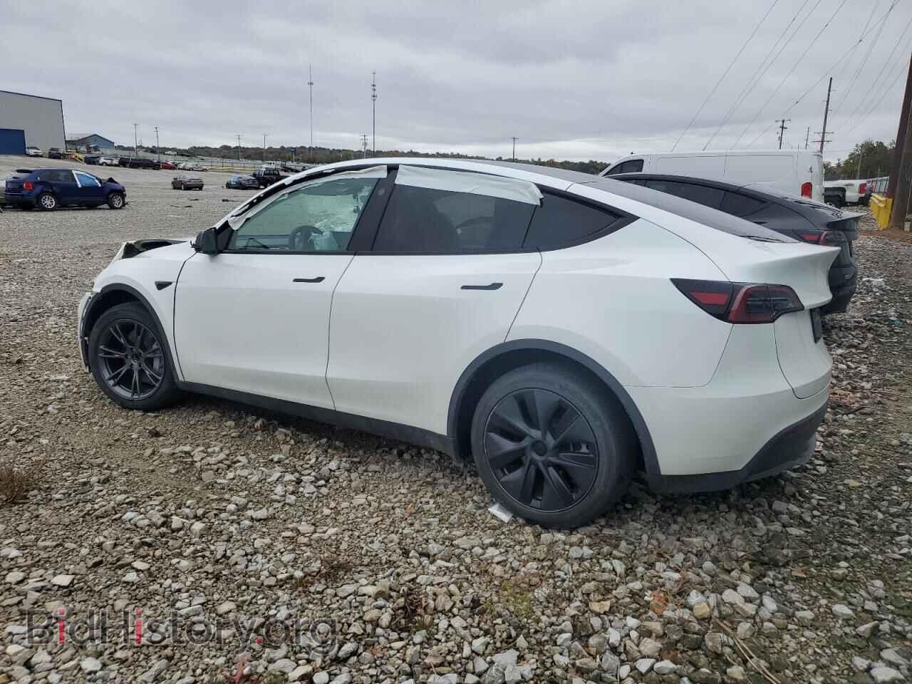 2024 TESLA MODEL Y - VIN: 7SAYGDED5RF200049 - Фото 2