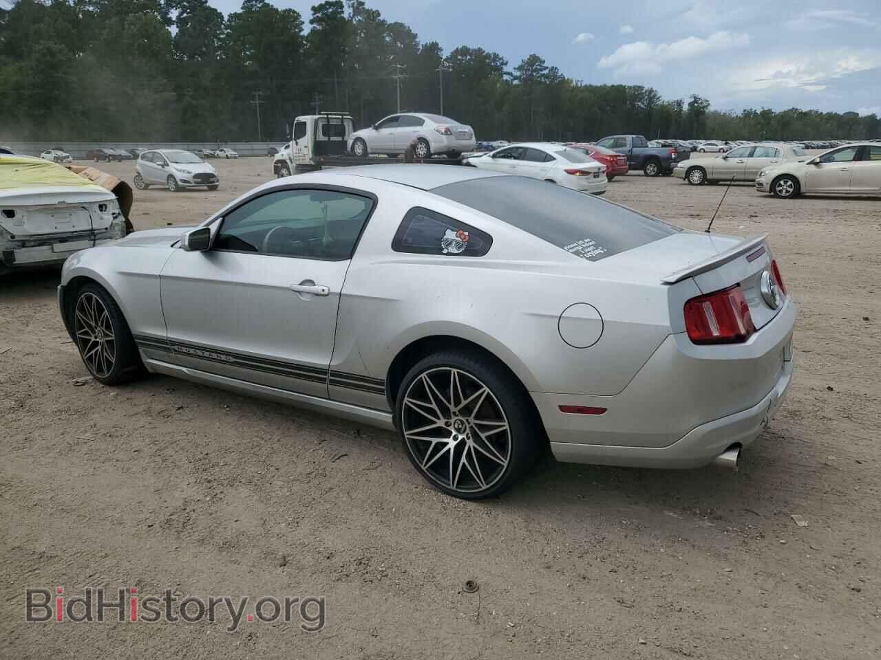 2010 FORD ALL Models - VIN: 1ZVBP8AN2A5147984 - Фото 2