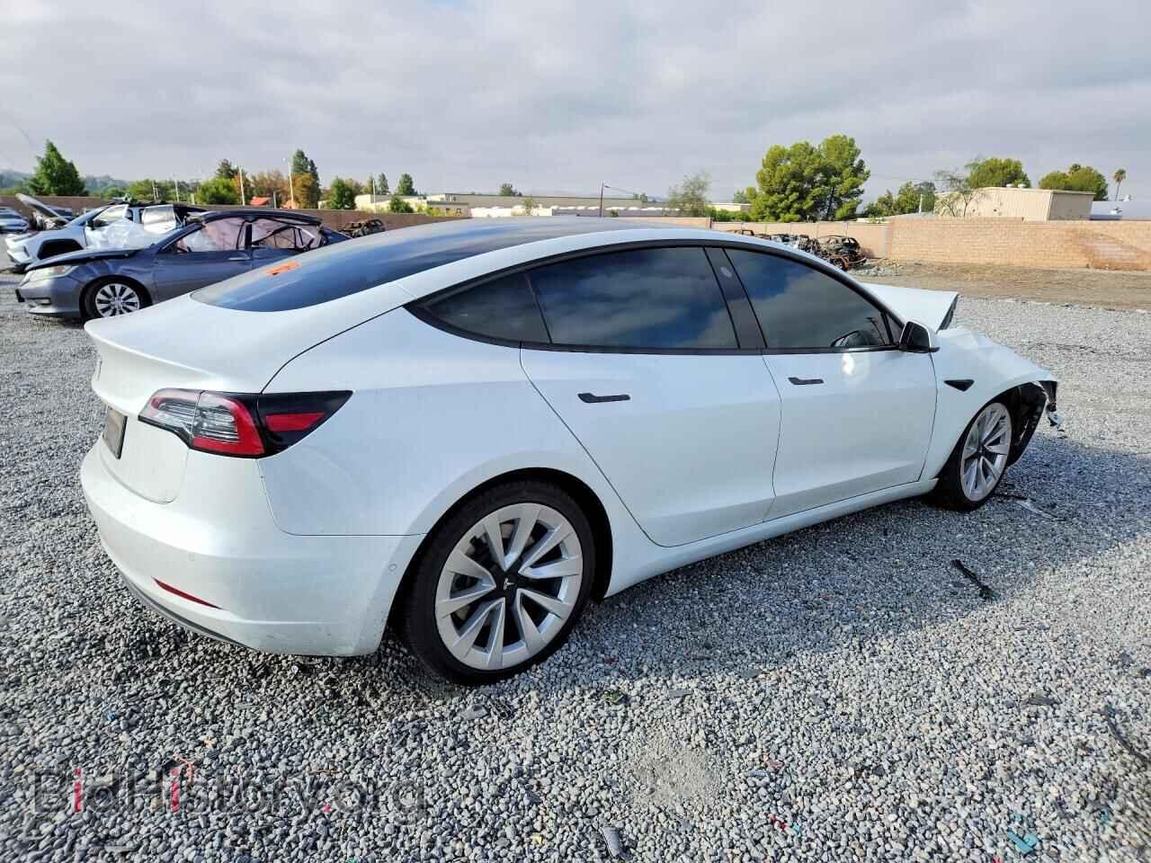 2021 TESLA MODEL 3 - VIN: 5YJ3E1EA1MF927599 - Фото 3