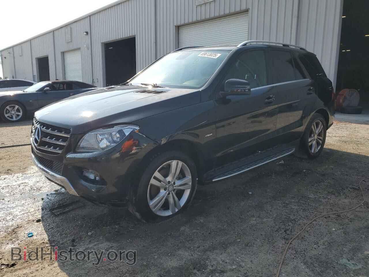 Photo 4JGDA5HB2CA033805 - MERCEDES-BENZ M-CLASS 2012