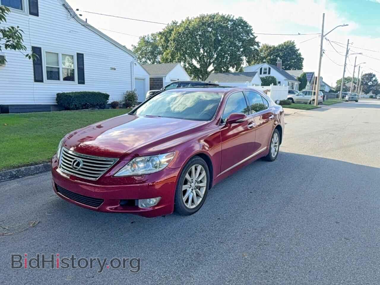 2010 LEXUS LS460 - VIN: JTHCL5EF3A5004836 - Фото 2