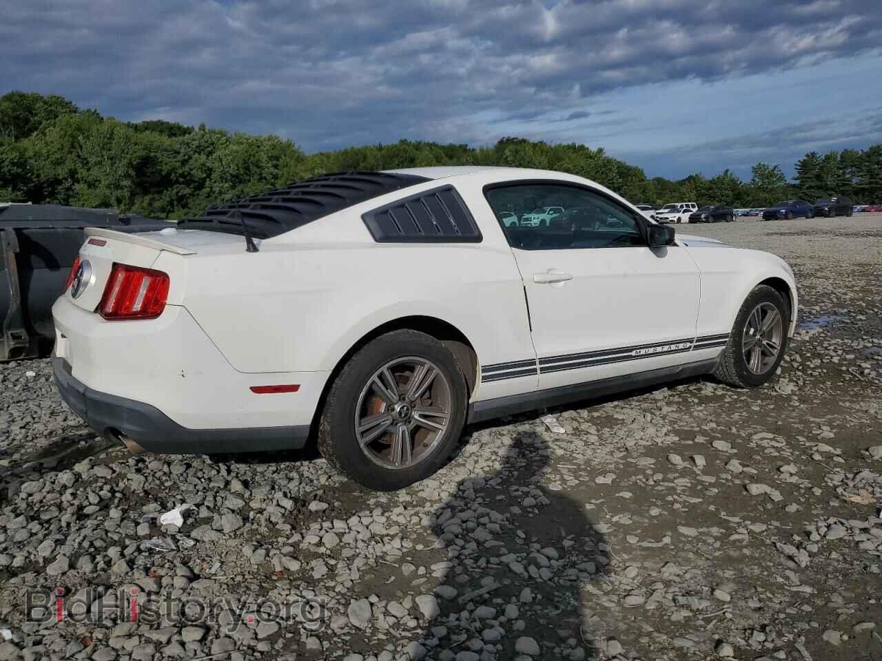 2010 FORD ALL Models - VIN: 1ZVBP8AN4A5131124 - Фото 3