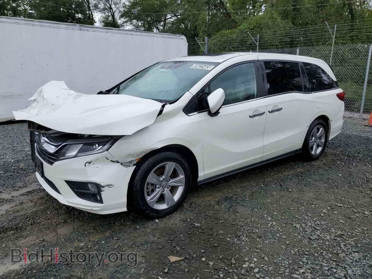 Фотография 5FNRL6H70KB117262 - HONDA All Models 2019