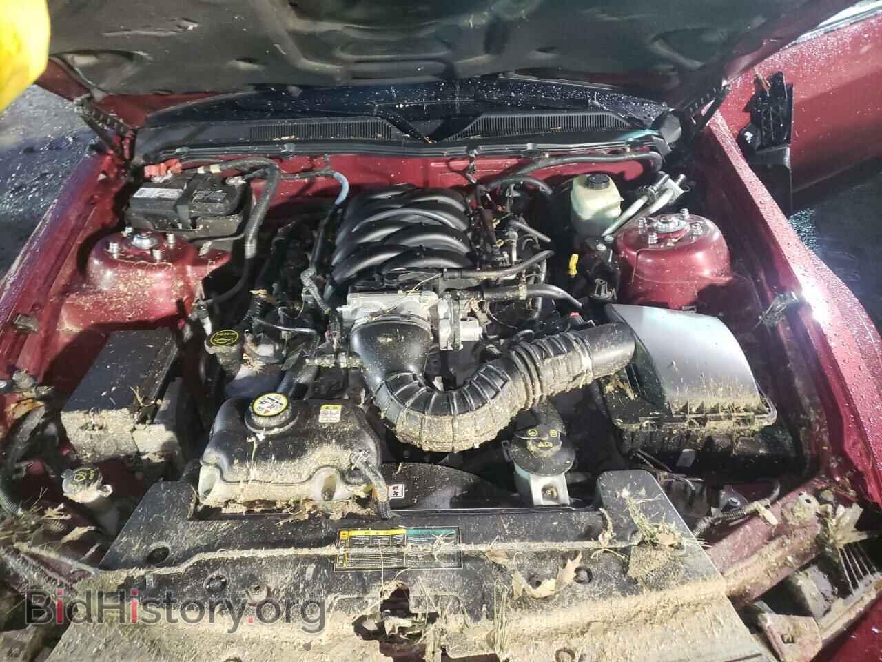2006 FORD MUSTANG - VIN: 1ZVHT85H165241341 - Фото 7