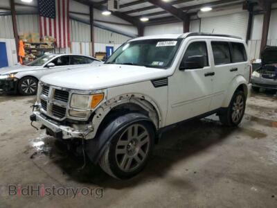 2011 Dodge NITRO Heat, white — VIN 1D4PU4GK1BW598314, Copart