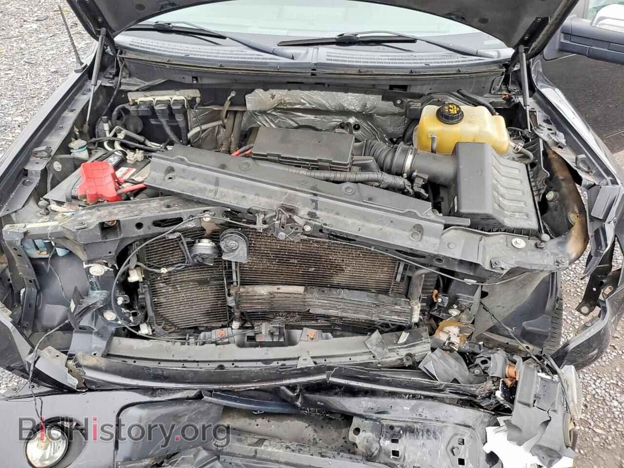 2014 FORD F150 - VIN: 1FTFX1EF7EFC59842 - Фото 11