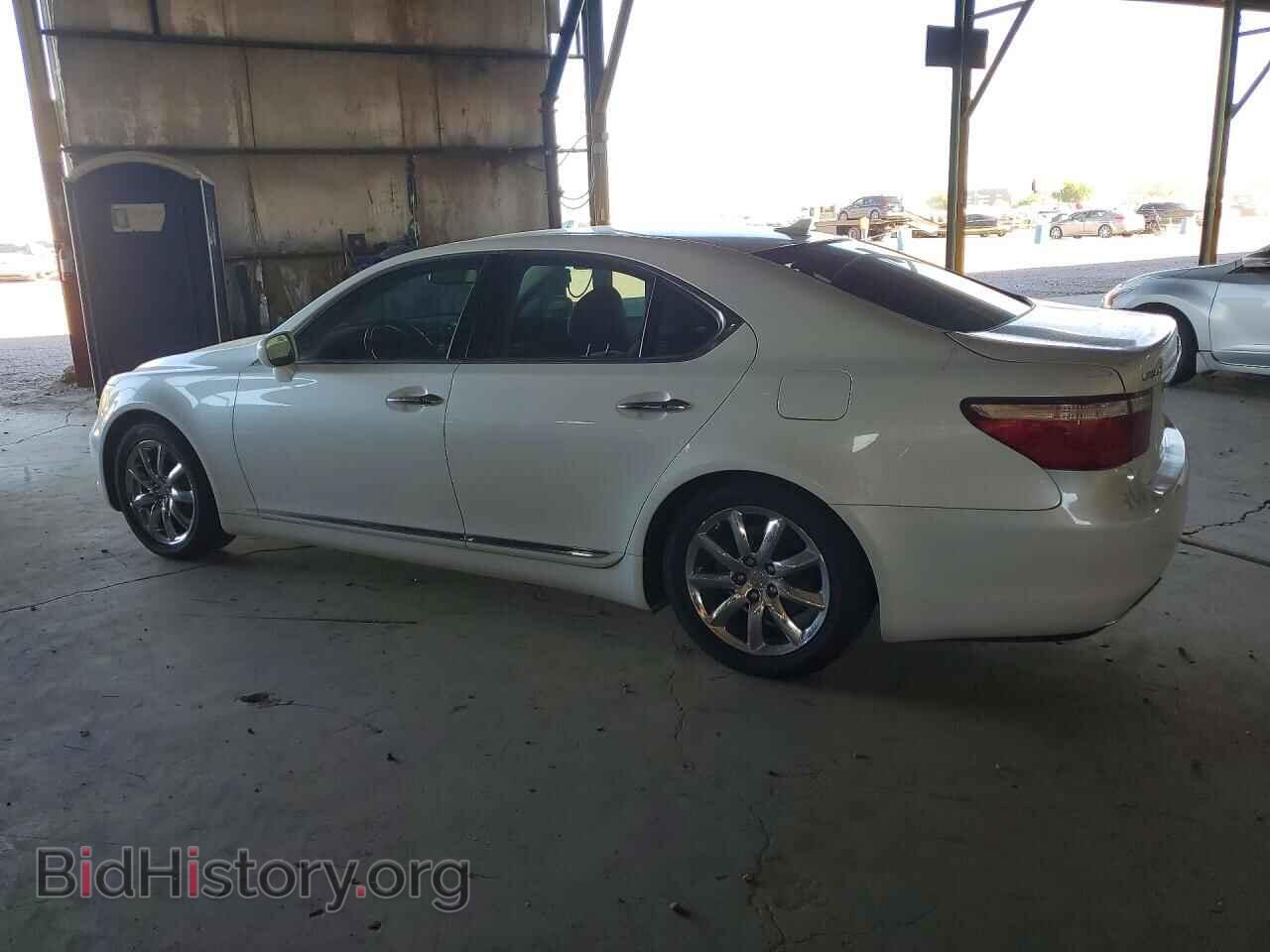 2008 LEXUS LS460 - VIN: JTHBL46F685075253 - Photo 2