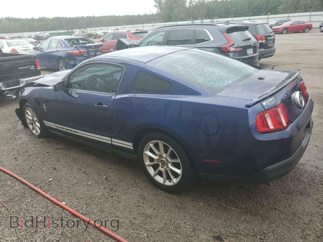 2010 FORD ALL Models - VIN: 1ZVBP8AN3A5155592 - Фото 2
