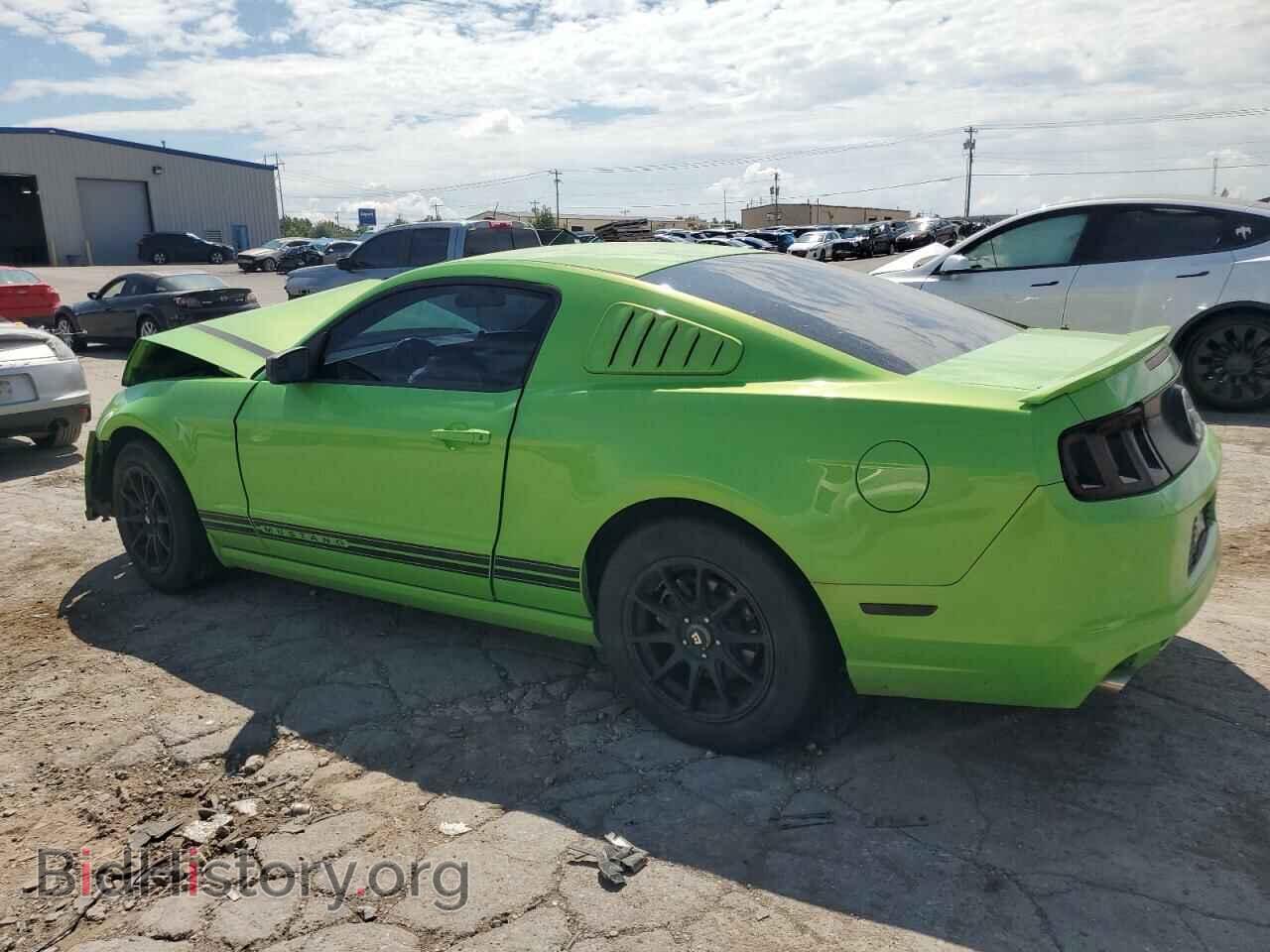 2013 FORD ALL Models - VIN: 1ZVBP8AM1D5226641 - Фото 2