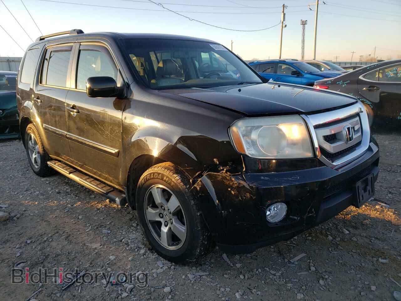 Фотография 5FNYF48699B052792 - HONDA PILOT 2009