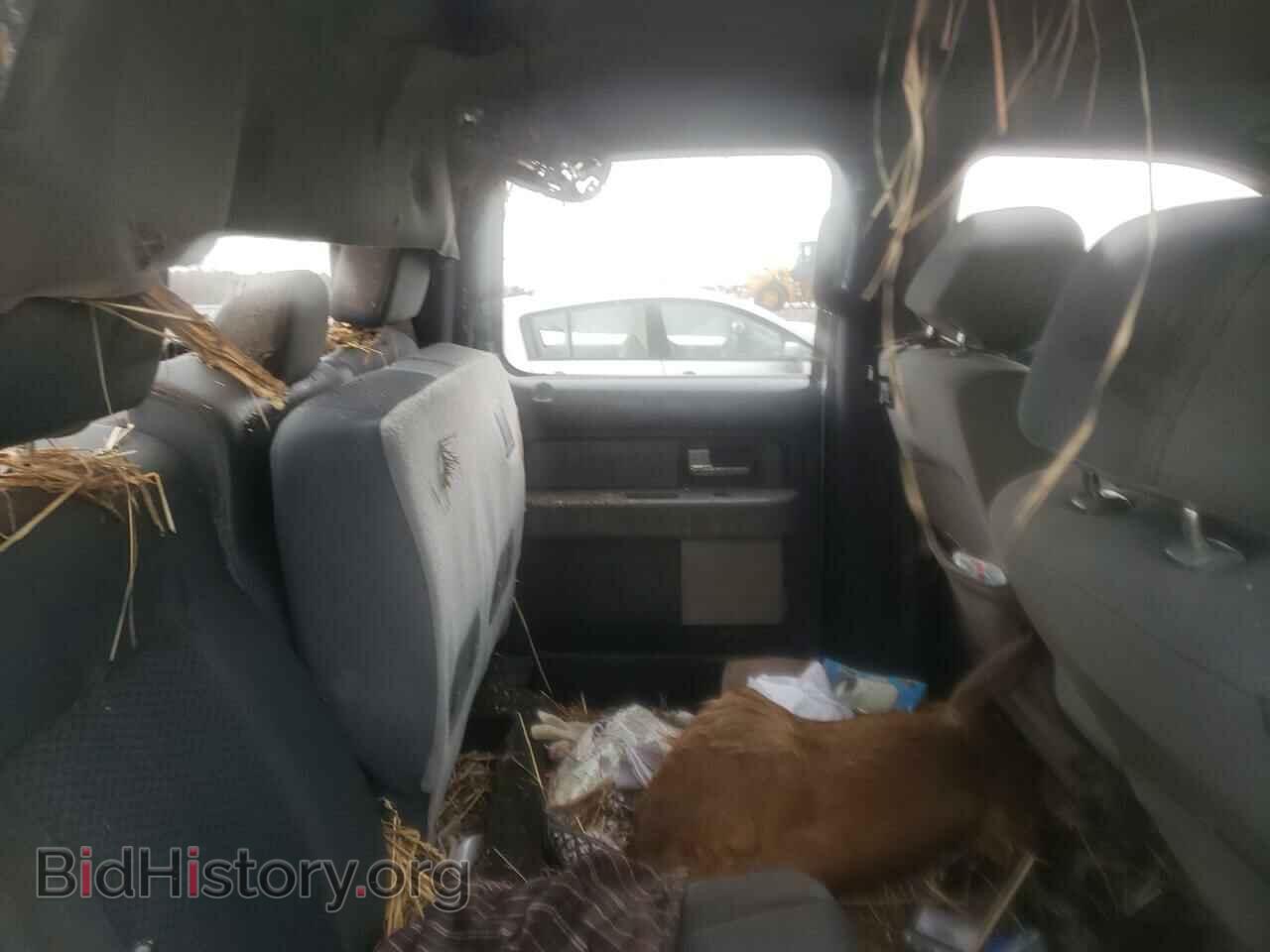 2013 FORD F-150 - VIN: 1FTFW1ET3DFB38524 - Фото 6
