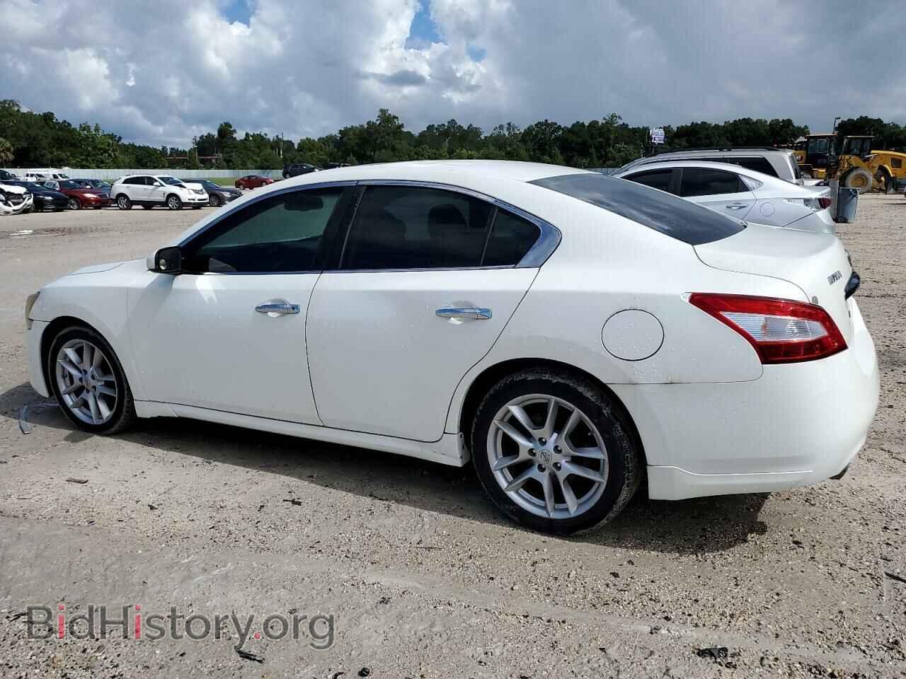 2010 NISSAN MAXIMA - VIN: 1N4AA5AP4AC841738 - Фото 2