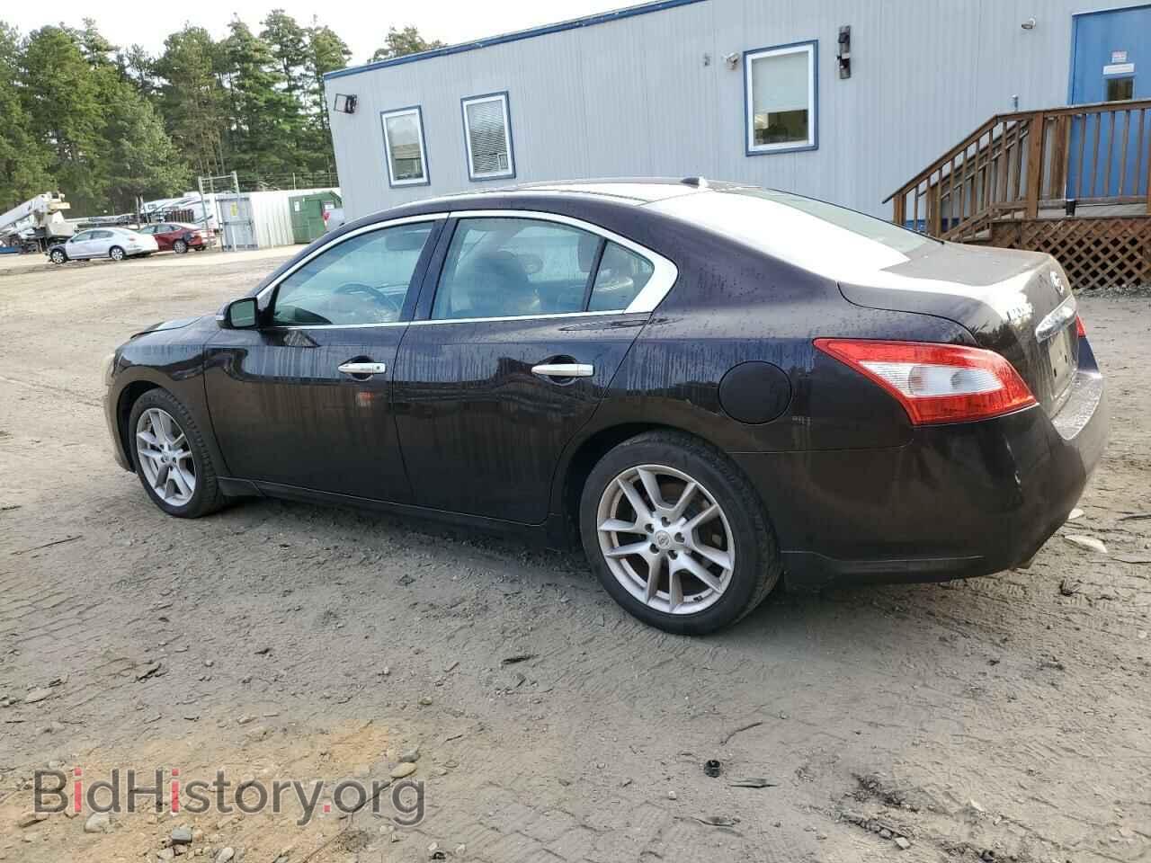 2011 NISSAN MAXIMA - VIN: 1N4AA5AP0BC833301 - Фото 2