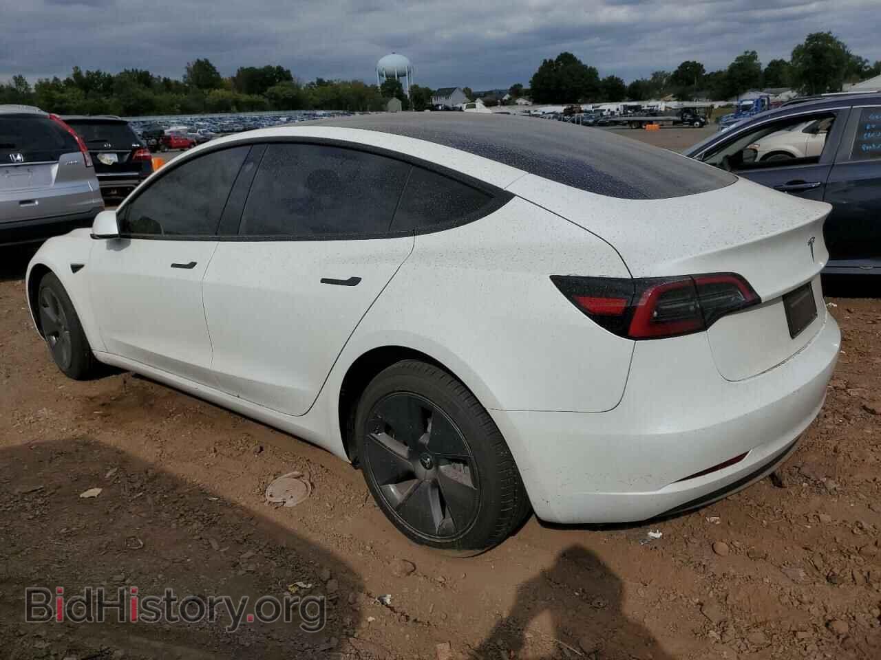 2023 TESLA MODEL 3 - VIN: 5YJ3E1EA5PF681841 - Фото 2