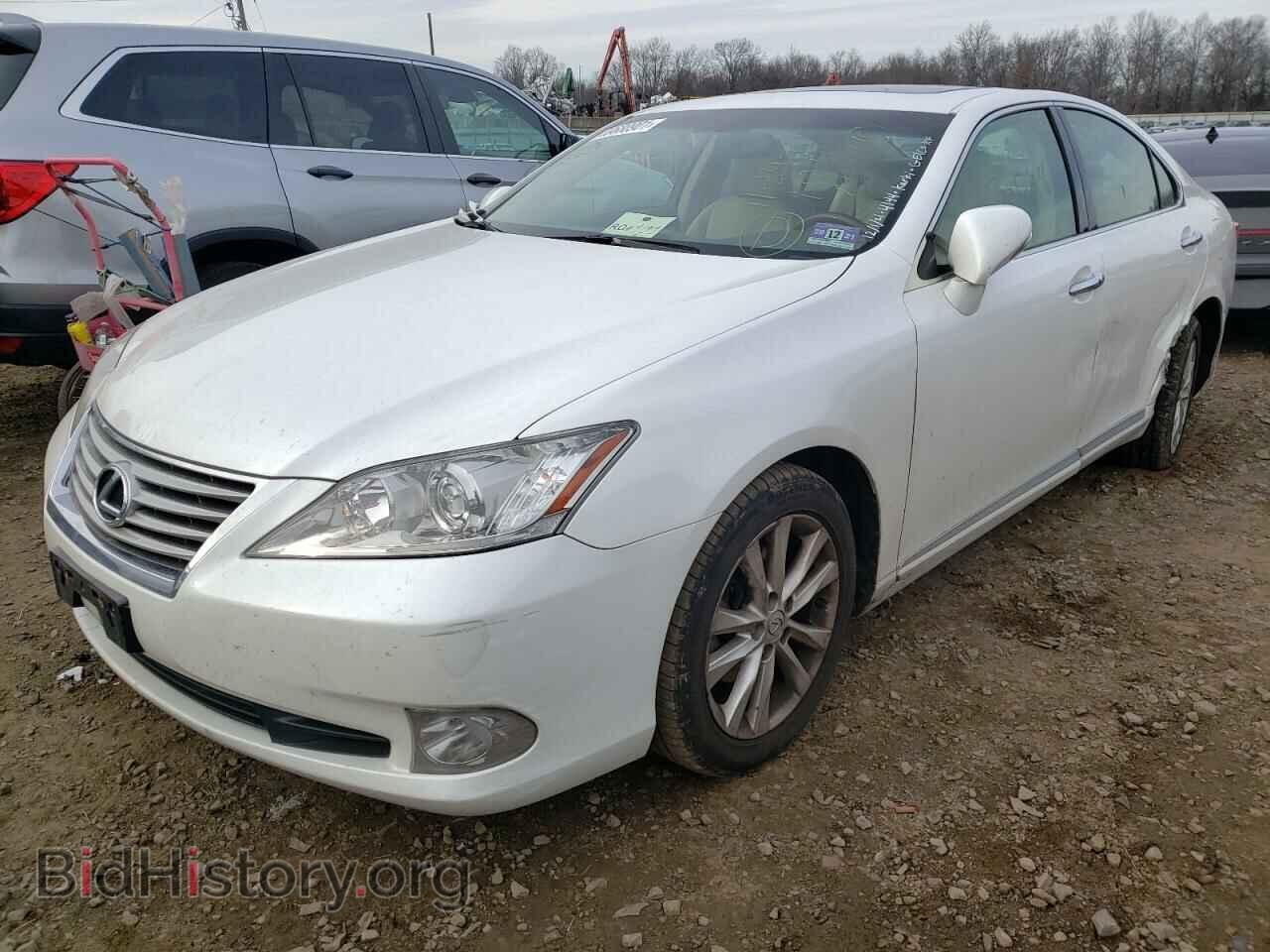 2011 LEXUS ES350 - VIN: JTHBK1EG4B2420218 - Фото 2