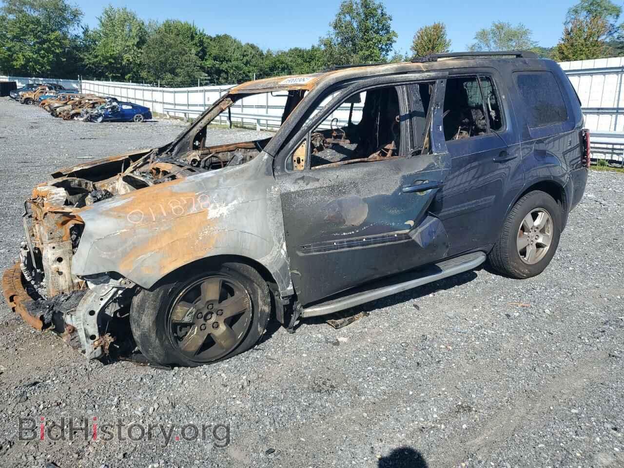 Фотография 5FNYF48619B011878 - HONDA PILOT 2009
