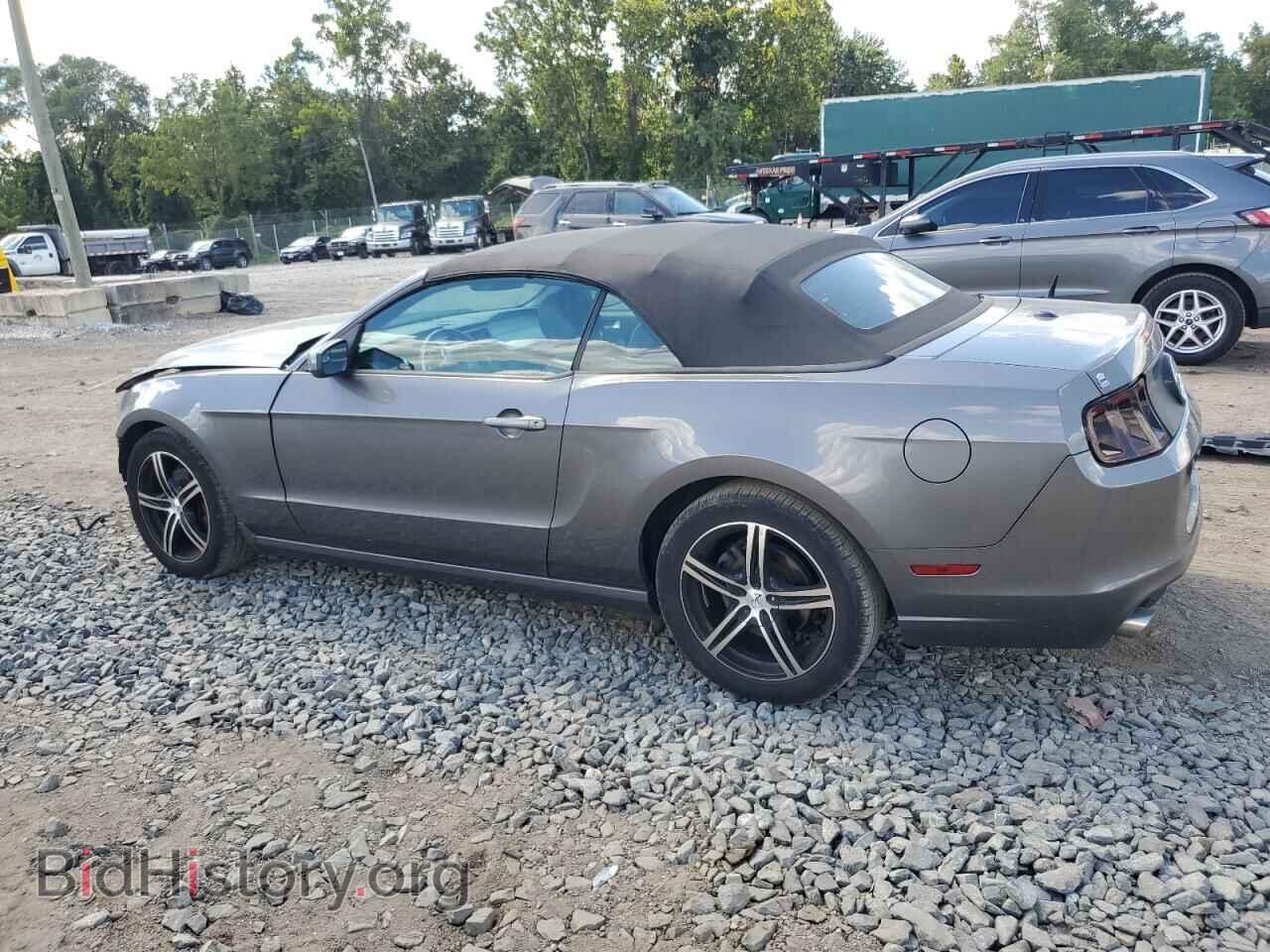 2013 FORD ALL Models - VIN: 1ZVBP8EM4D5248353 - Фото 2