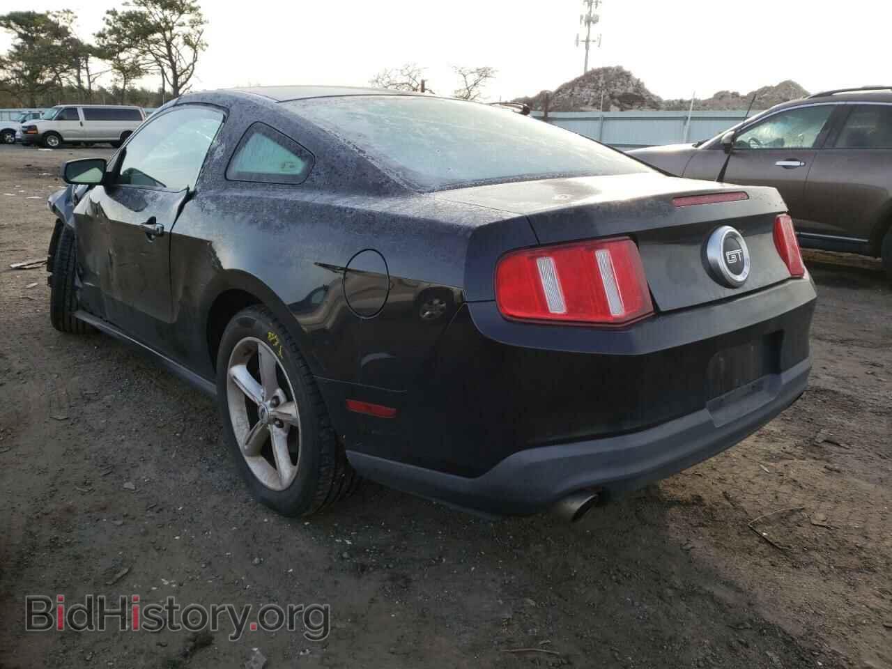 2010 FORD MUSTANG - VIN: 1ZVBP8CH4A5145144 - Фото 3
