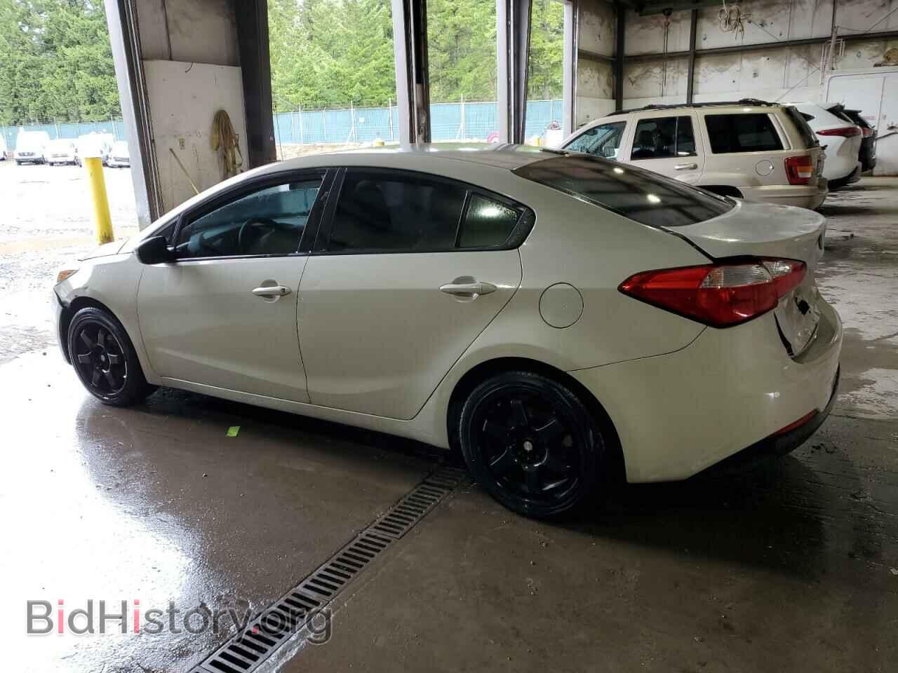 2015 KIA FORTE - VIN: KNAFK4A69F5259657 - Фото 2