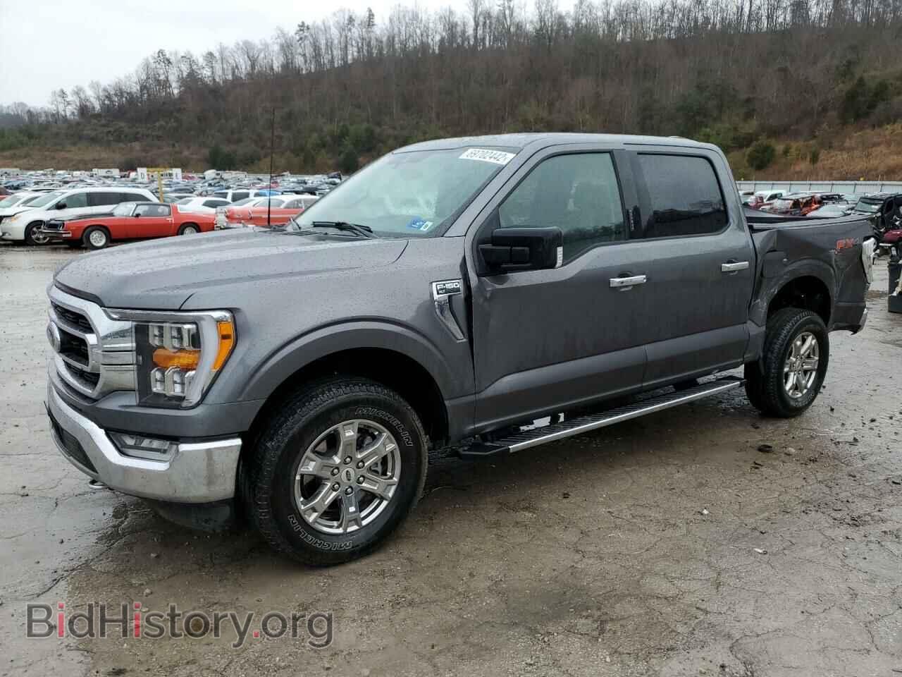 Фотография 1FTEW1EP5MFC24996 - FORD F-150 2021