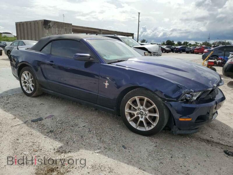 2011 Ford ALL MODELS (VIN 1ZVBP8EM7B5156974) — фото 4 из 12