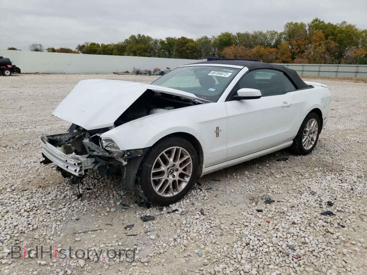 Фотография 1ZVBP8EM1E5332129 - FORD MUSTANG 2014