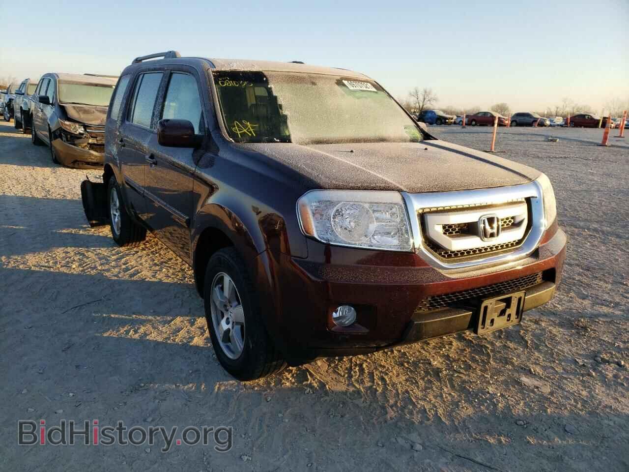 Photo 5FNYF4H67BB081035 - HONDA PILOT 2011