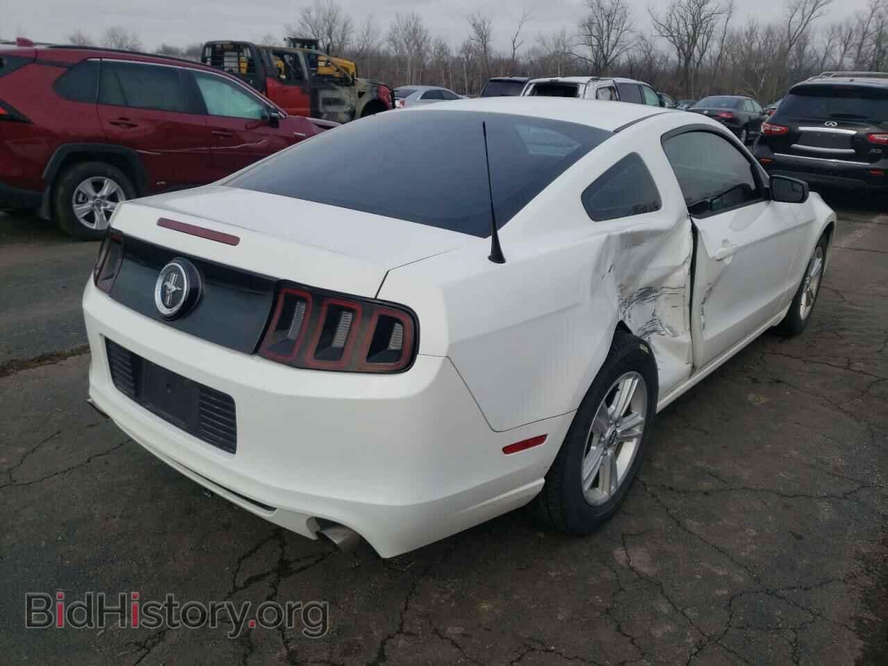2013 FORD MUSTANG - VIN: 1ZVBP8AM0D5259355 - Фото 4