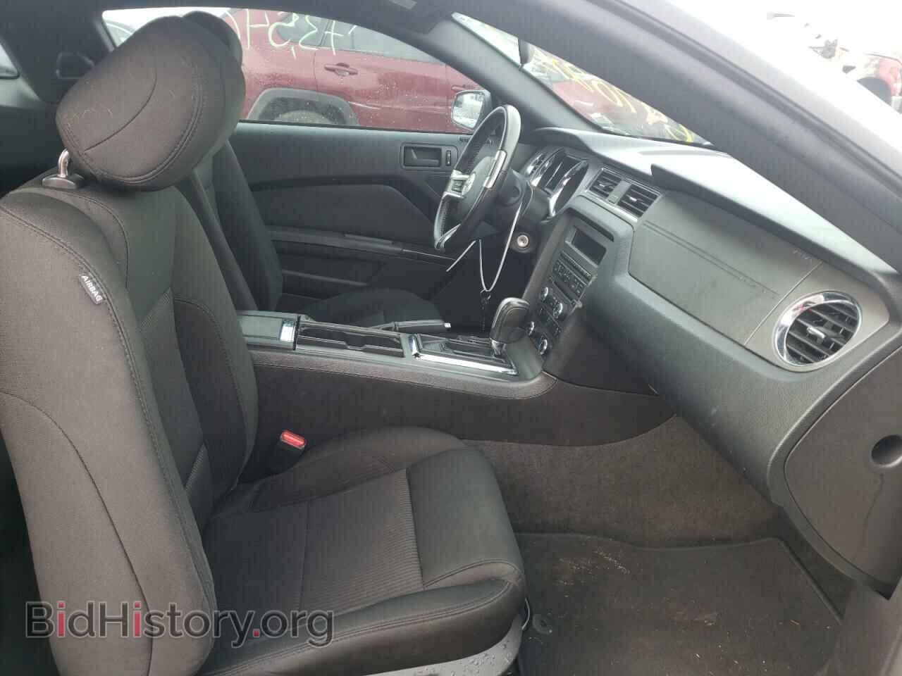 2013 FORD MUSTANG - VIN: 1ZVBP8AM0D5259355 - Фото 5