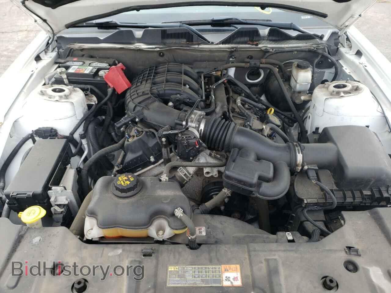 2013 FORD MUSTANG - VIN: 1ZVBP8AM0D5259355 - Фото 7