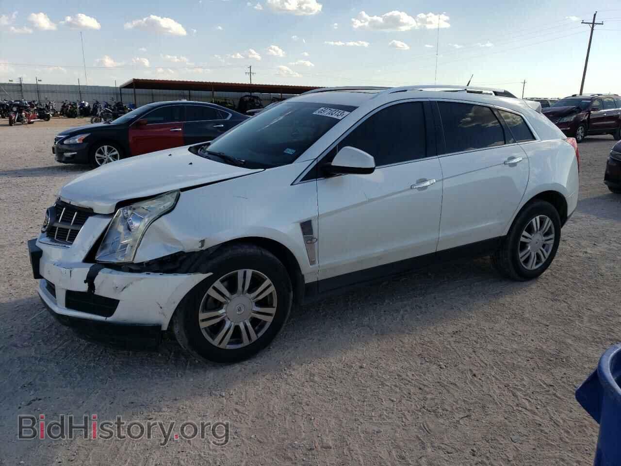 Фотография 3GYFNAE39CS613987 - CADILLAC SRX 2012