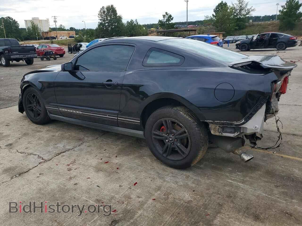 2012 FORD MUSTANG - VIN: 1ZVBP8AMXC5277067 - Фото 2