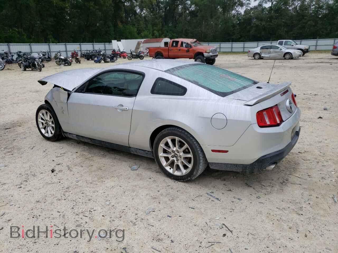 2011 FORD MUSTANG - VIN: 1ZVBP8AM0B5157079 - Фото 2