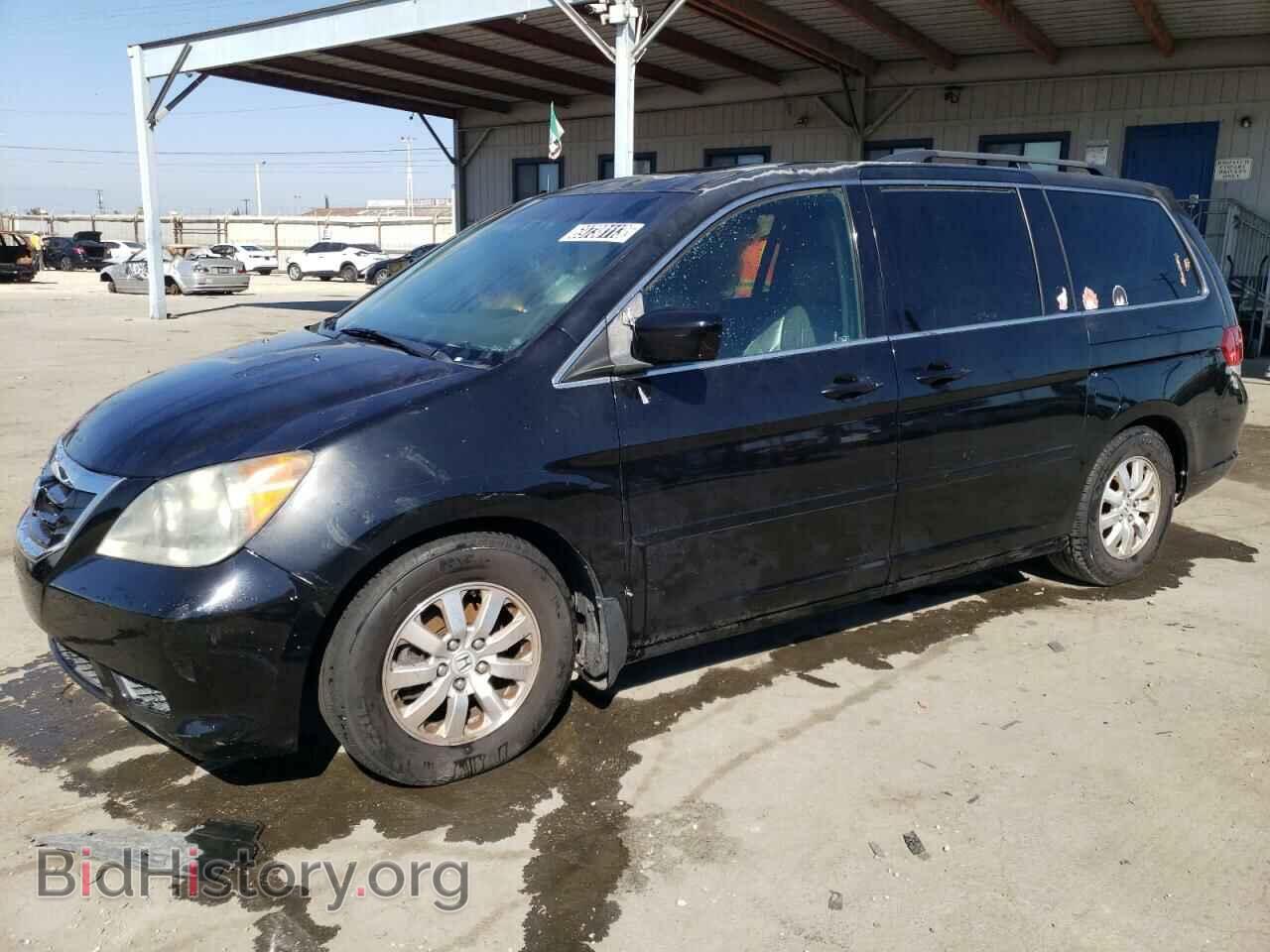 Photo 5FNRL3H76AB102259 - HONDA All Models 2010