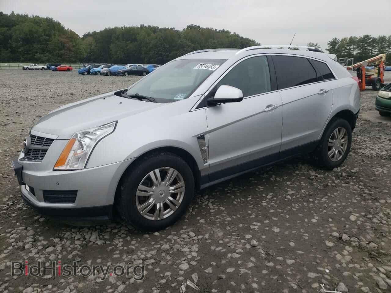 Фотография 3GYFNAEY1BS546358 - CADILLAC SRX 2011