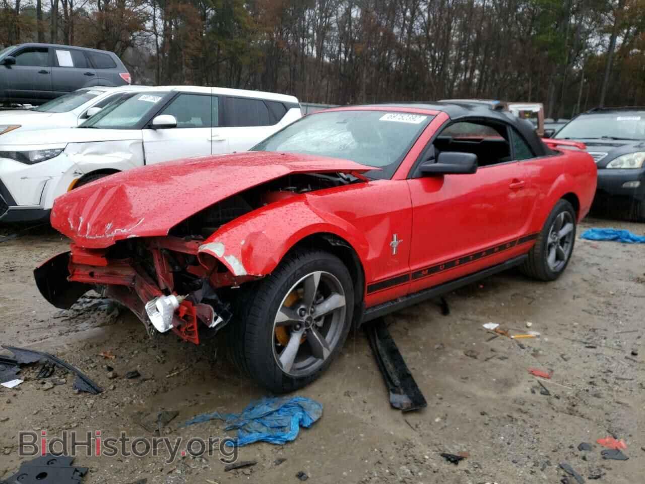 Фотография 1ZVHT84N565236313 - FORD MUSTANG 2006