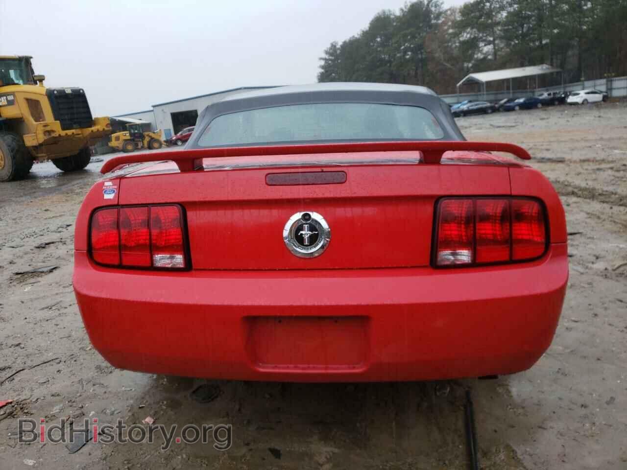 2006 FORD MUSTANG - VIN: 1ZVHT84N565236313 - Фото 6