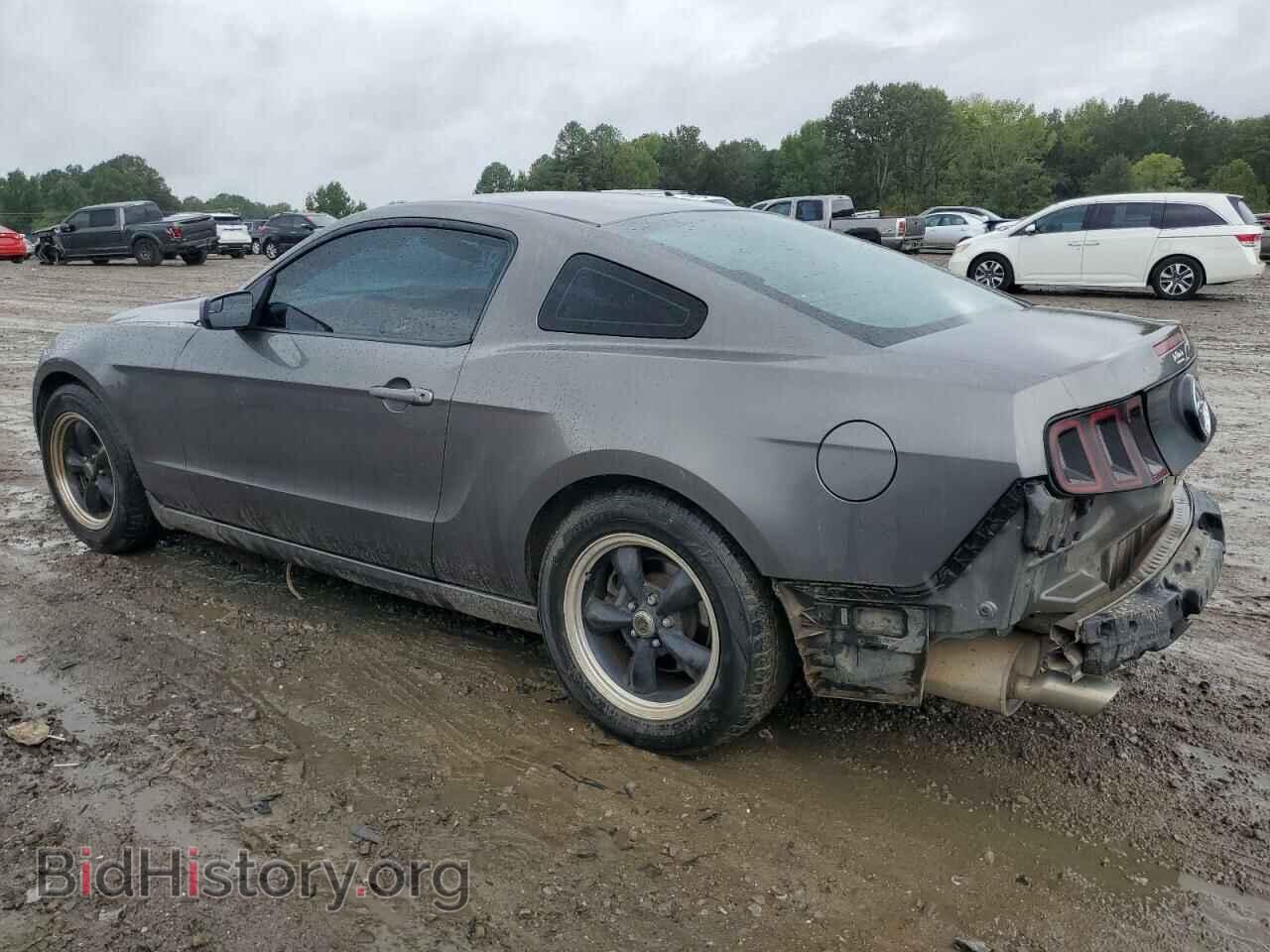 2013 FORD ALL Models - VIN: 1ZVBP8AM4D5259245 - Фото 2