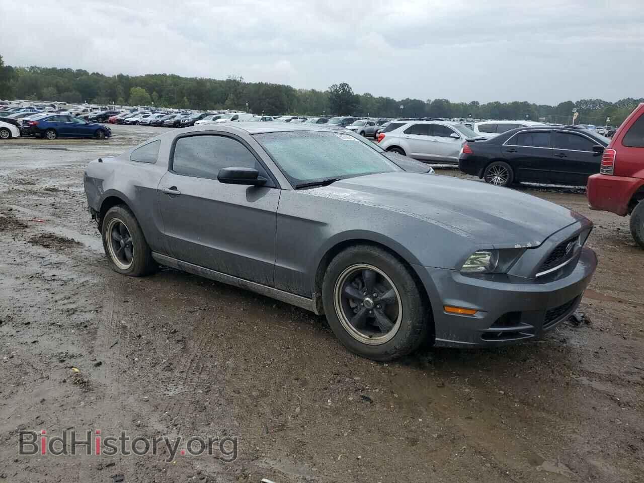 2013 FORD ALL Models - VIN: 1ZVBP8AM4D5259245 - Фото 4