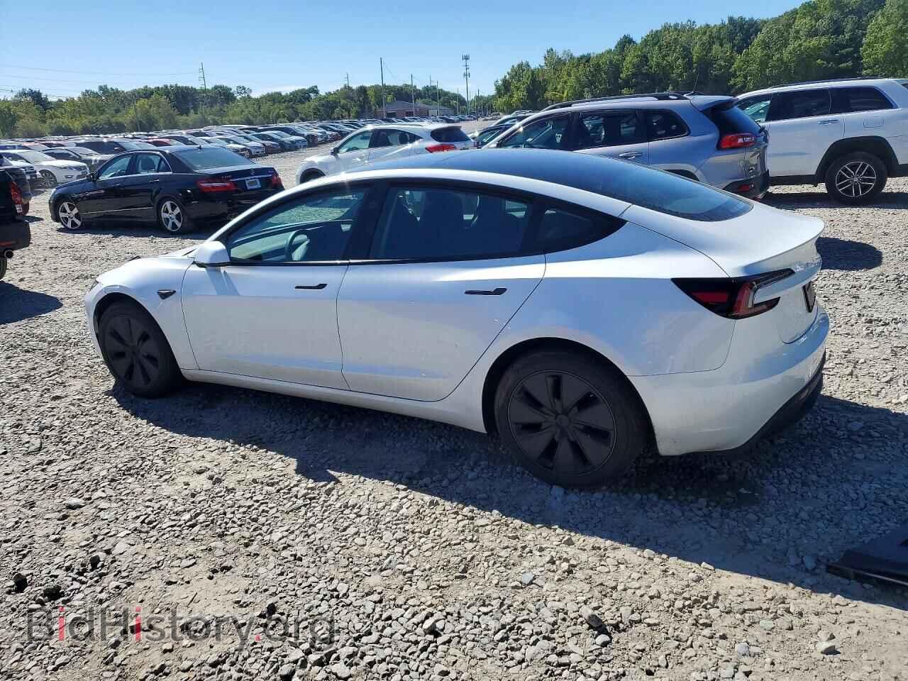 2025 Tesla MODEL 3 (VIN 5YJ3E1EB7SF060795) — photo 2 of 12