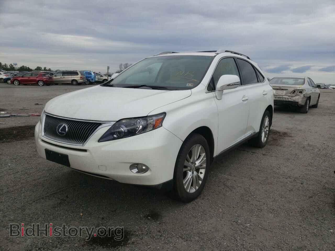 2011 LEXUS RX450 - VIN: JTJBC1BA3B2034465 - Фото 2