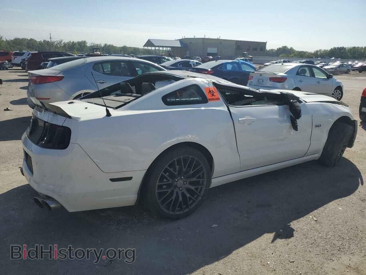 2013 FORD MUSTANG - VIN: 1ZVBP8CF7D5274157 - Фото 3