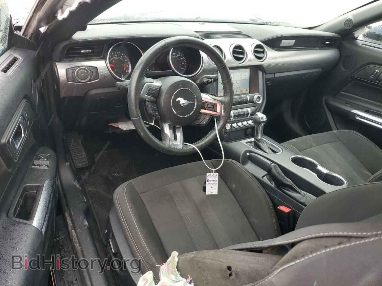 2019 FORD ALL Models - VIN: 1FA6P8TH2K5118536 - Photo 8
