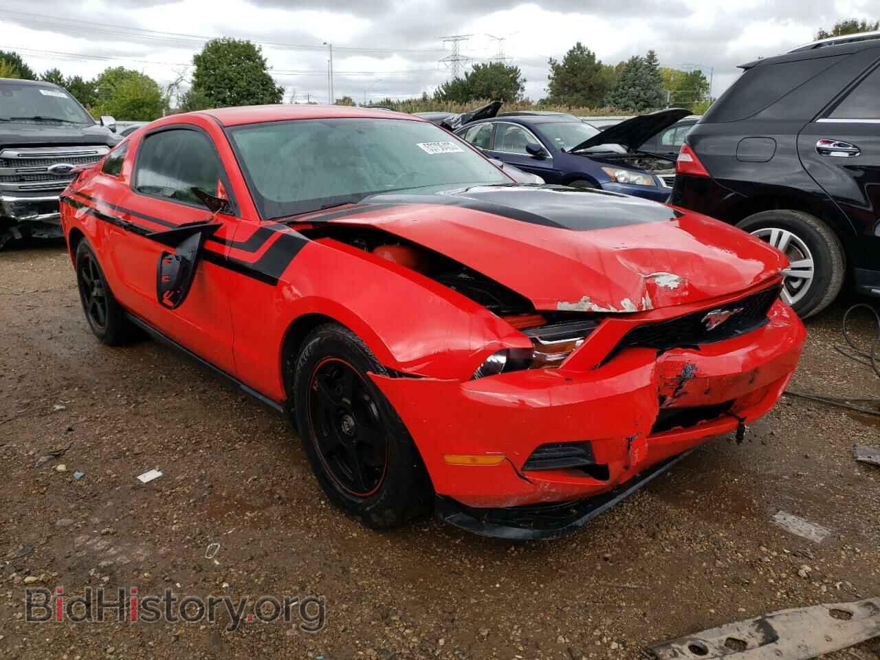 2011 FORD ALL Models - VIN: 1ZVBP8AM4B5109536 - Фото 4