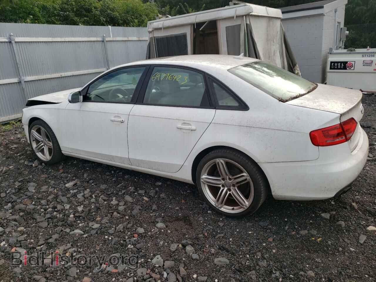 2010 AUDI A4 - VIN: WAUBFAFL3AN034157 - Фото 2