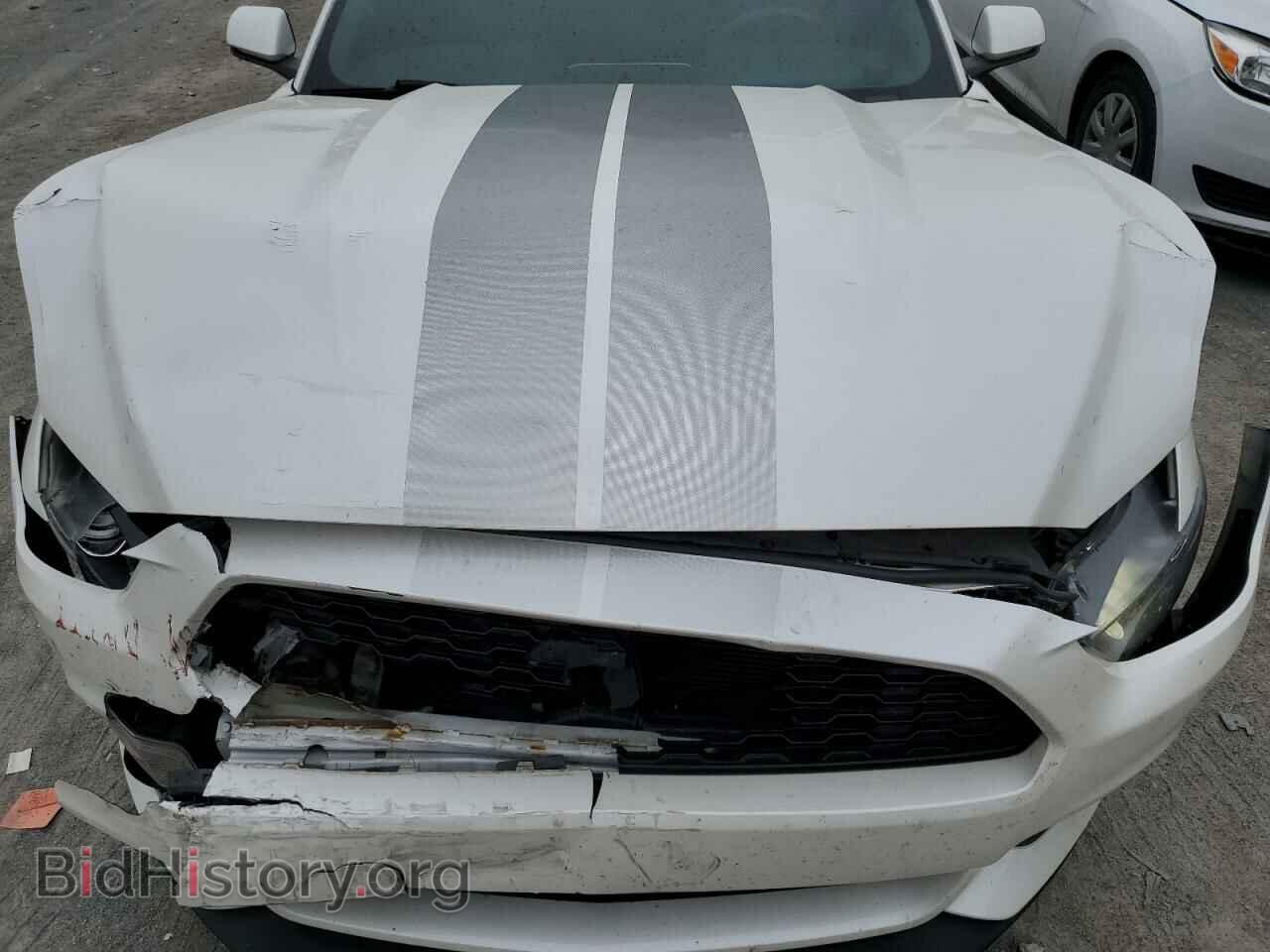 2017 FORD ALL Models - VIN: 1FA6P8TH3H5317572 - Photo 11