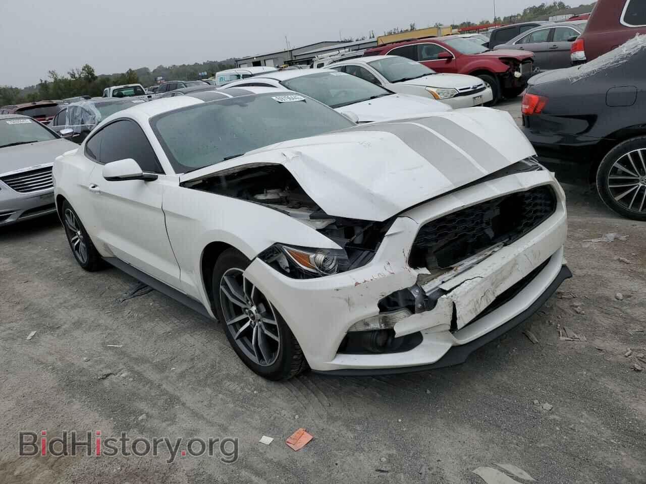 2017 FORD ALL Models - VIN: 1FA6P8TH3H5317572 - Photo 4